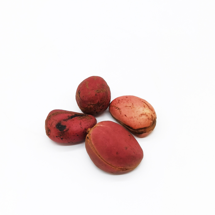 Red Kola Nuts 200g - Image 3