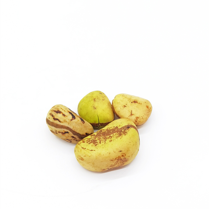 White Kola Nuts 200g - Image 3